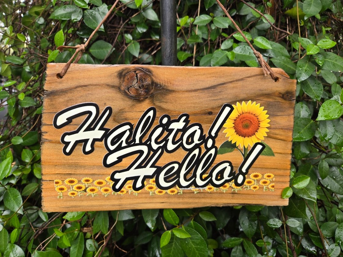 Halito Sunflower - Reclaimed wood sign
