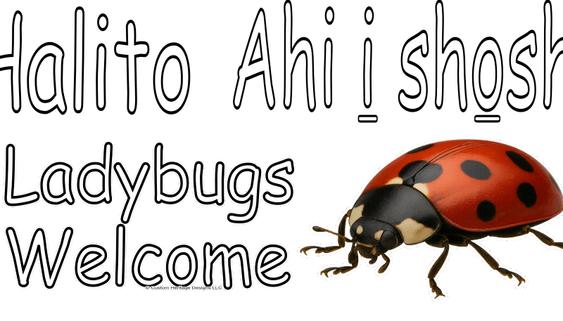 Ladybug landscape Halito Ahi i shoshi - Reclaimed wood sign