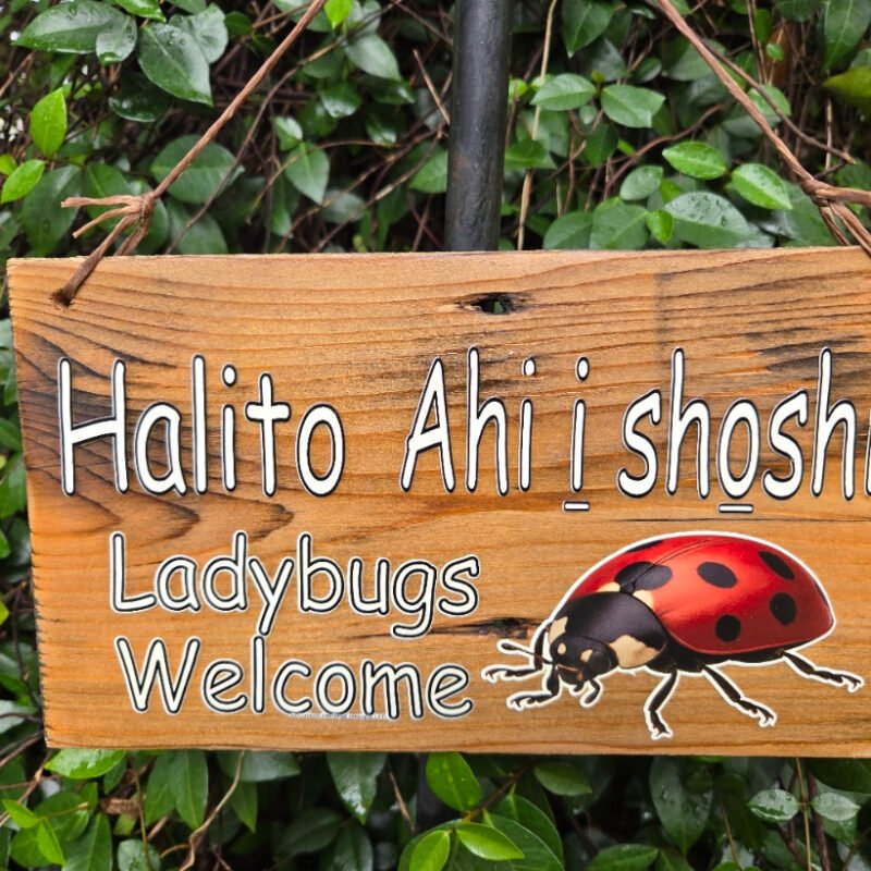 Ladybugs Welcome with Halito Ahi i shoshi - Reclaimed wood sign