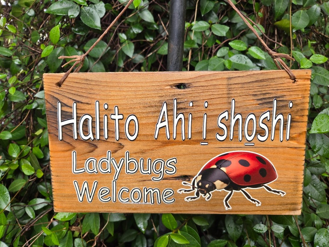 Ladybugs Welcome with Halito Ahi i shoshi - Reclaimed wood sign