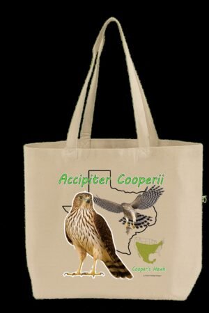 Accipiter Cooperii - Tote Bag