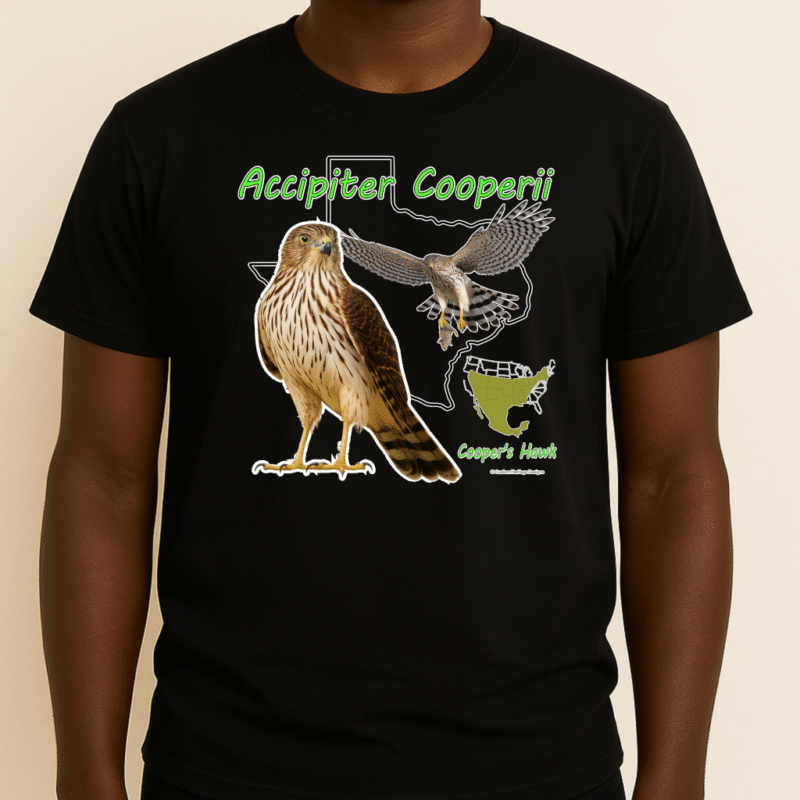 Coopers Hawk Black Accipiter Cooperii - Graphic T