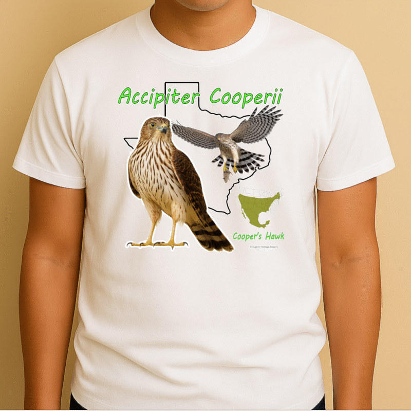 Coopers Hawk White Accipiter Cooperii - Graphic T