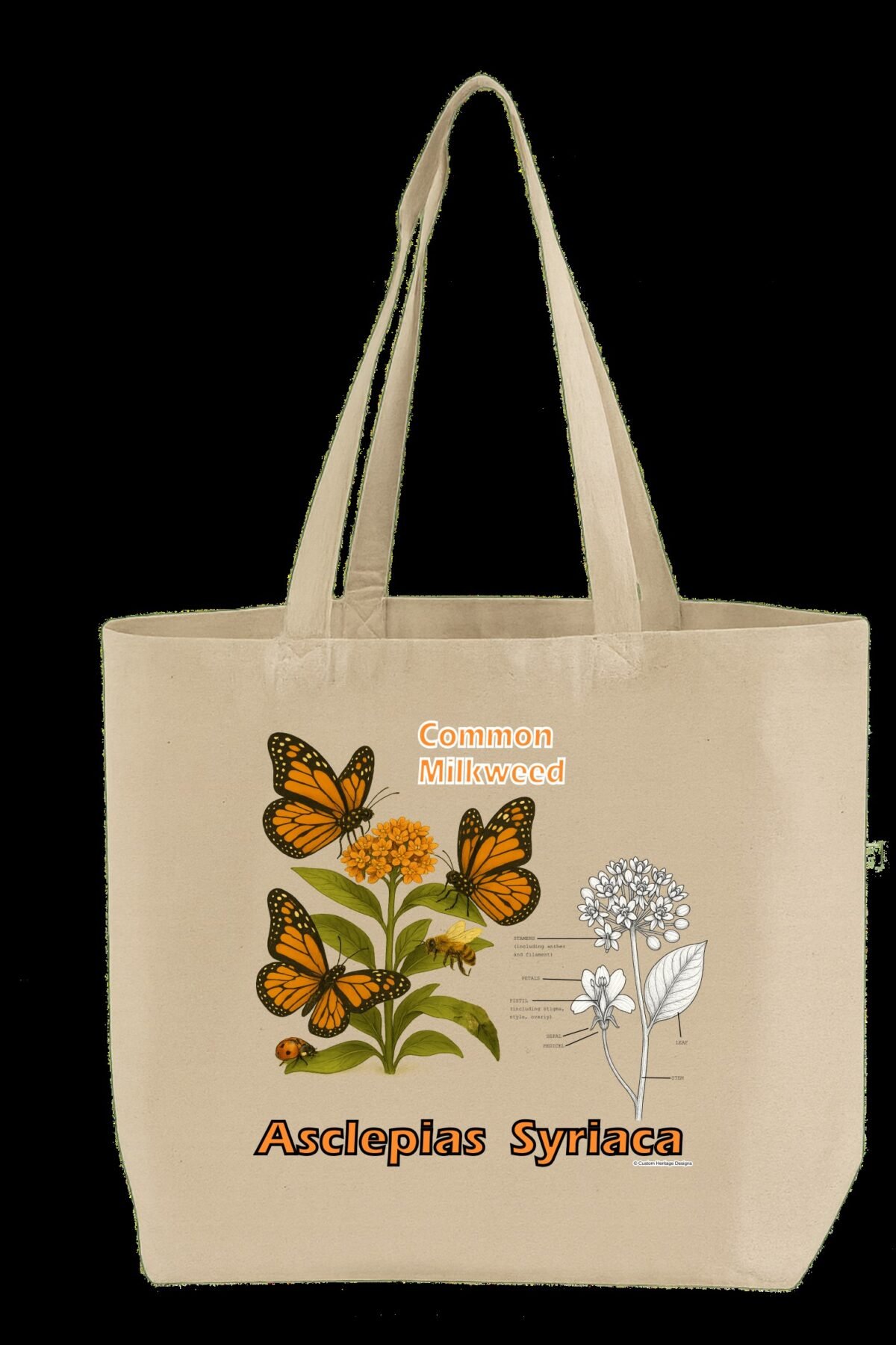 Asclepias syriaca - Tote Bag