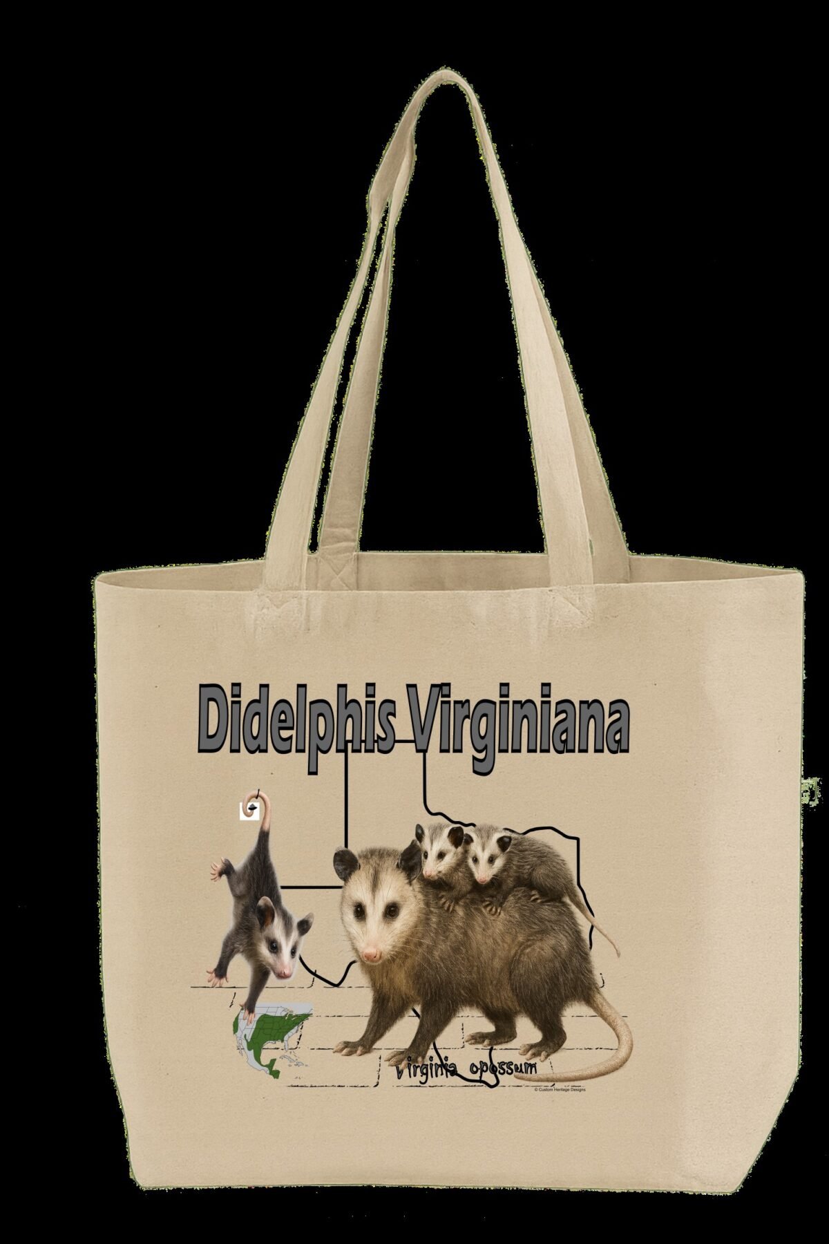 Didelphis Virginiana - Tote Bag