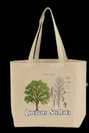 Quercus stellata - Tote Bag