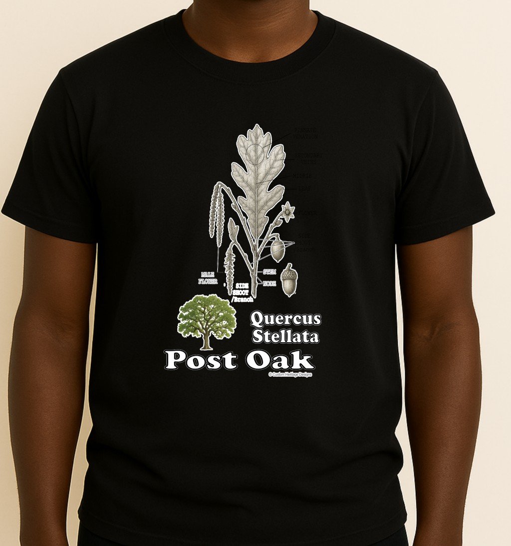 Post Oak Black Quercus stellata - Graphic T