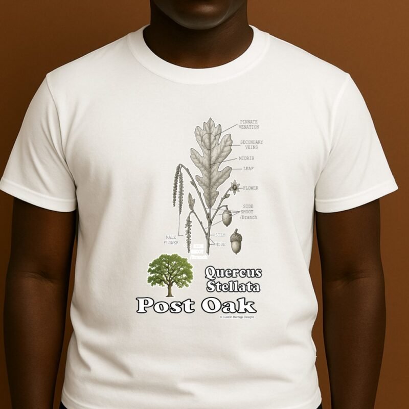 Post Oak White Quercus stellata - Graphic T