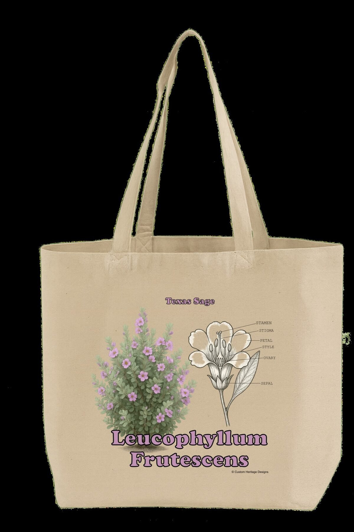 Leucophyllum frutescens - Tote Bag