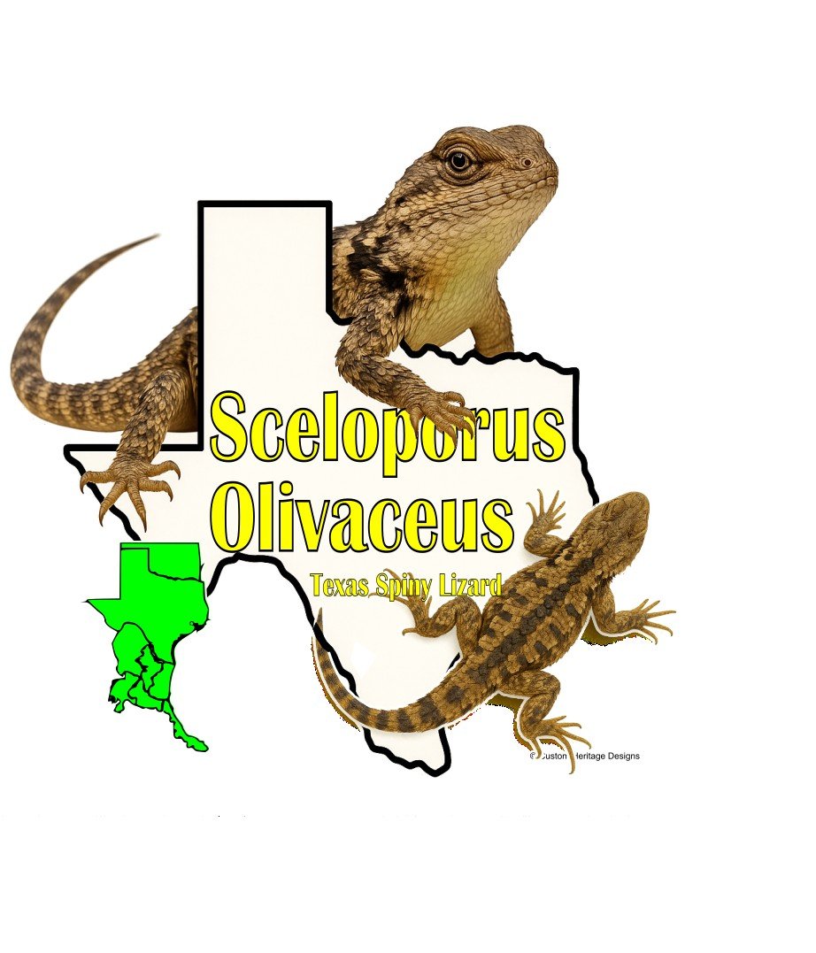 Sceloporus Olivaceus - Graphic T