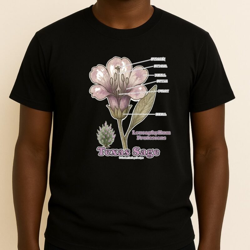 Leucophyllum frutescens - Graphic T
