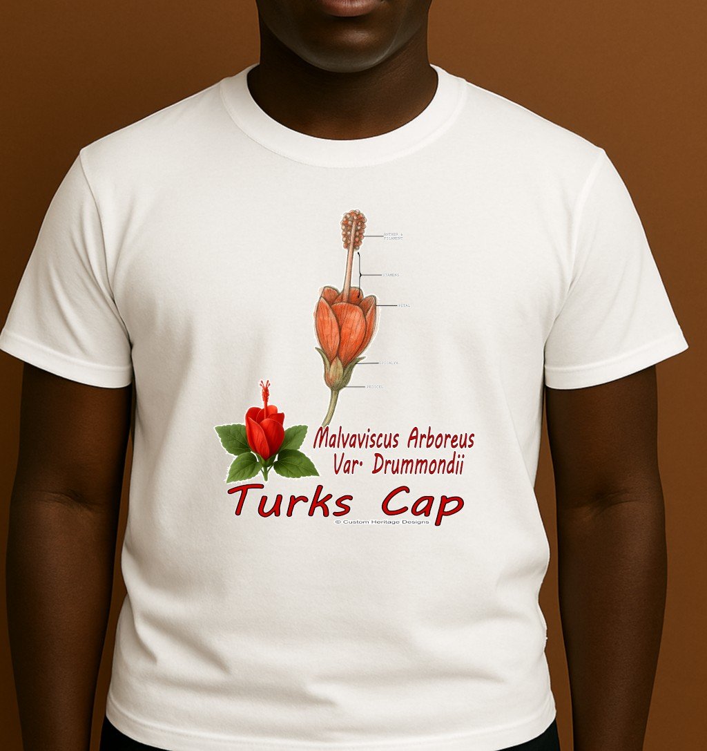 Turks Cap White Malvaviscus arboreus var. drummondii - Graphic T