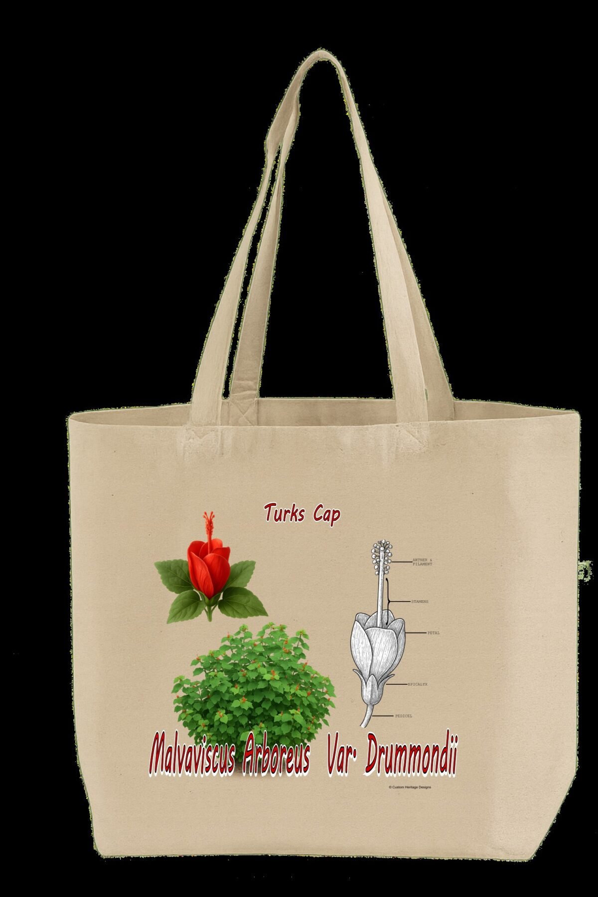 Turkscap Malvaviscus arboreus var. drummondii - Tote Bag