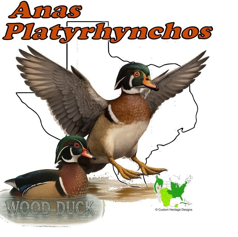 Anas Platyrhynchos - Graphic T