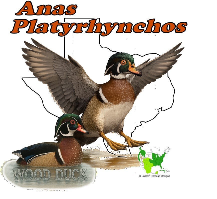 Anas Platyrhynchos - Graphic T