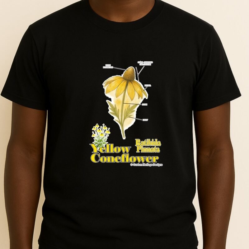 Ratibida pinnata - Graphic T