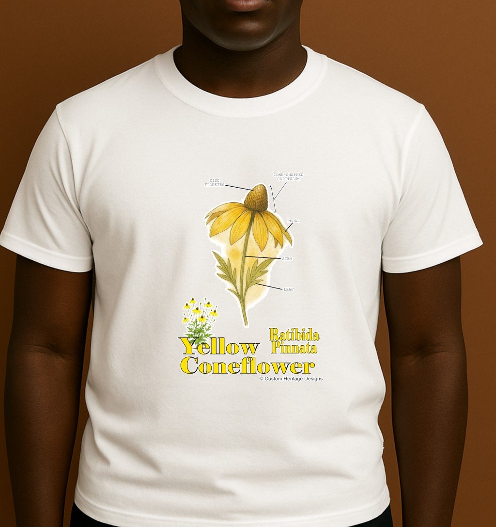 Ratibida pinnata - Graphic T